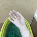 그루메디신경외과의원 이미지