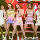나쁜여자 스포츠조선