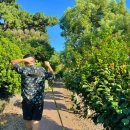 하귤과보리 이미지