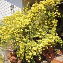 목향별관 이미지