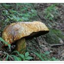 산곡하이웨이주유소 이미지