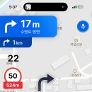 물고기 미포 이미지