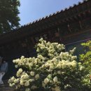 엠글램핑 | 인천 강화도 글램핑 아이엠 글램핑 솔직후기