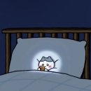 대성카마스터 | 24. 끝