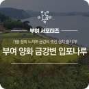 양화 금강변 이미지