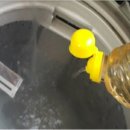 시민세탁 이미지