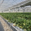 유봉농장 이미지