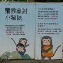 (주)버드레터 | 직장일기 (78) 엄마랑 가오슝 맛집 투어(용화소룡포, 흥륭거, 망고 빙수) + 치친섬과 쇼우산 동물원