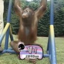 난라이브7080