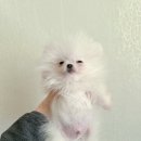 나을동물병원 이미지