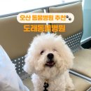 도래동물병원 이미지