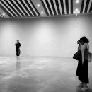 몽돌디자인 이미지
