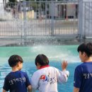 민용기 태권스쿨 이미지