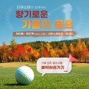 아스타렌트카 이미지