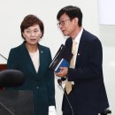 김현미 카카오 검색결과