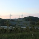 서광 태양광발전소 이미지