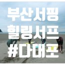 켈리서프