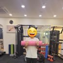 에스엔티스포츠 이미지