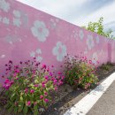 상월면사무소 이미지