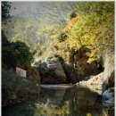 금바우골 이미지