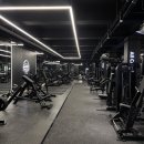 딜라이트클럽 이미지