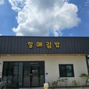 청도여행 청도할매김밥 내돈내산 찐후기