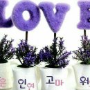 좋은아침 이미지