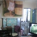 백옥대로2438번길 이미지