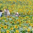 보물농장 이미지