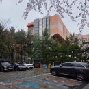 기흥로 116번 | [용인/신갈] 피부 디톡스 웨딩촬영/본식 전 재생관리 추천: 올가드림뷰티 신갈역 에스테틱샵