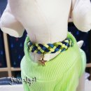 개랑 나들이 이미지