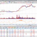 와이지바이오코리아 이미지