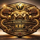 사단법인대한수상안전교육협회광주전남지부 | 사단법인 대한복싱연맹(KBF) 조직도 및 전국·해외 조직망 구축 안내. KOREA BOXING FEDERATION