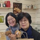 샤르뜨 이미지