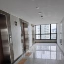 신영 | SH신혼신생아매입임대) 신영&amp;가산시빅 후기