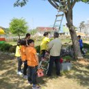 성수초등학교 이미지