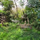 비블리아성서식물원 이미지