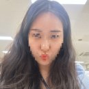 해브먼트 이미지