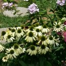 삿갓봉근린공원 이미지