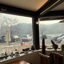 카페애룡호수 | 파주 법원읍 카페-애룡커피테라스 솔직후기