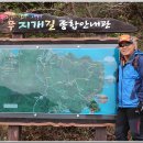 무지개길 이미지