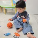 봉주네 | 아기옷추천 : 베베드피노 등원룩추천 봉주르버니 티그레 트위티 바바베어 샤퉁 베들링턴 로즈라팡 등...