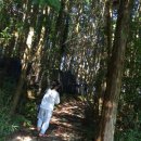 평화농원 이미지