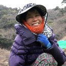 영농조합법인 장촌마을 이미지