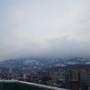 연서정형외과의원 네이버블로그