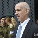 신베트 이미지