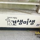 견생미생 이미지