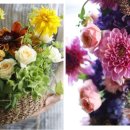 플라워&홈가드닝 이미지