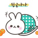 로플로플 이미지