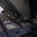 교촌농장 이미지